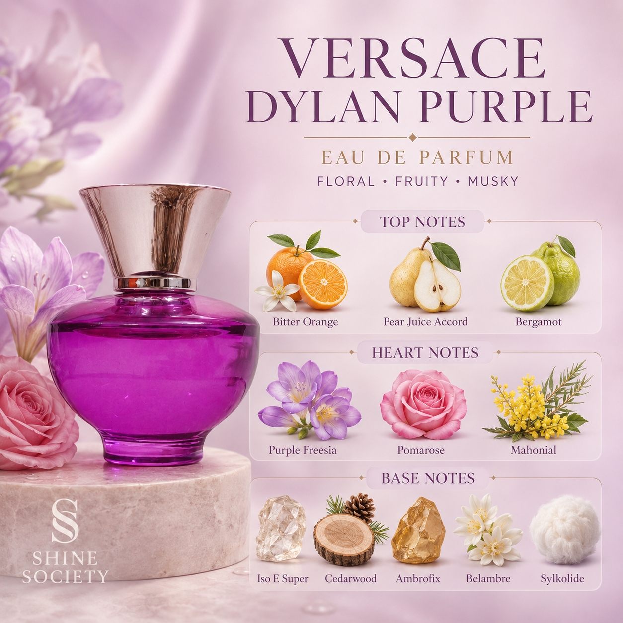Dylan purple 2